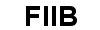 FIIB-Blinker