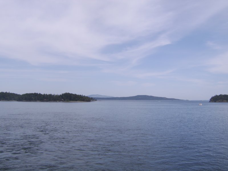 sta76583.jpg
