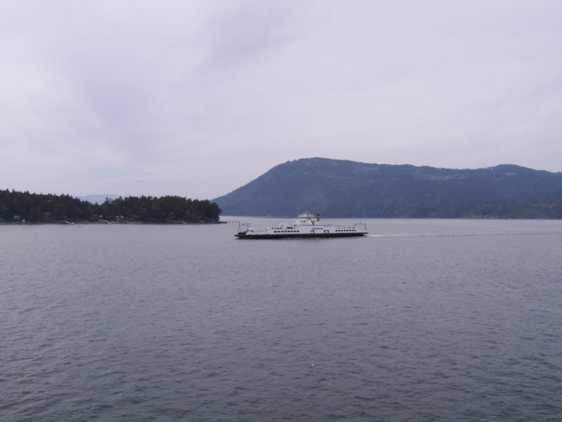 sta76595.jpg