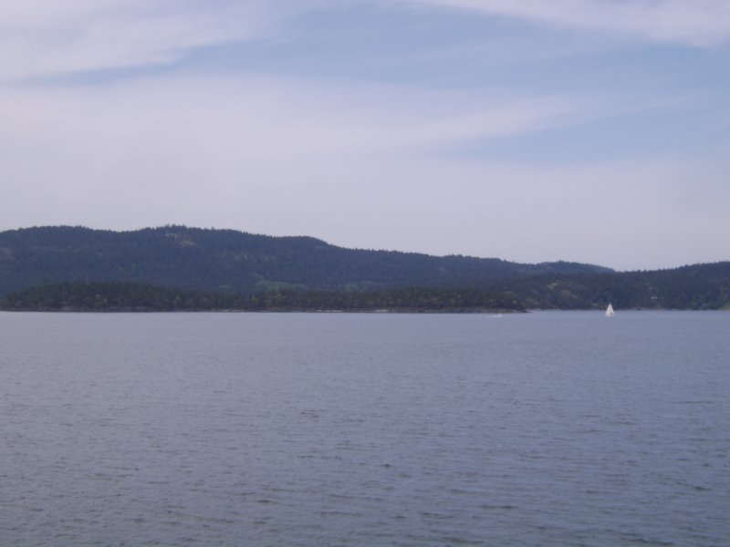 sta76597.jpg