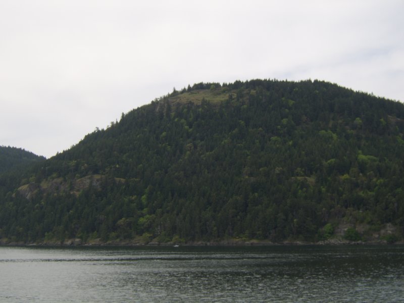 sta76599.jpg