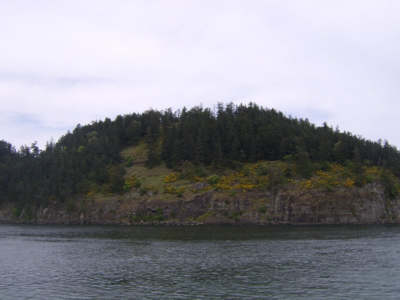 sta76605.jpg