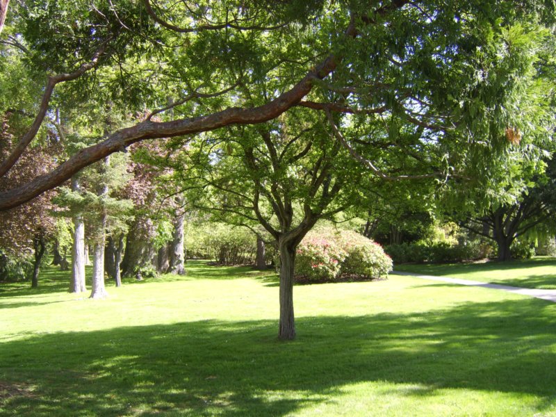 sta76544.jpg