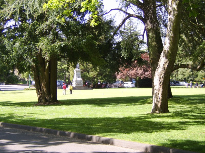 sta76551.jpg