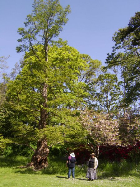 sta76566.jpg