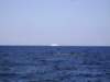 sta74139_small.jpg