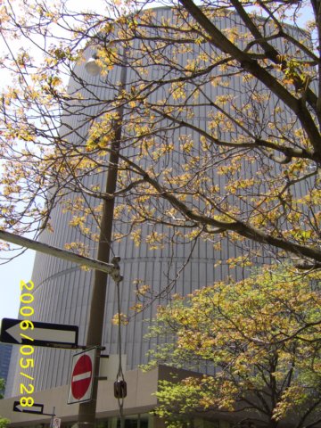 niagaratoronto001.jpg