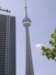 sta70548_small.jpg