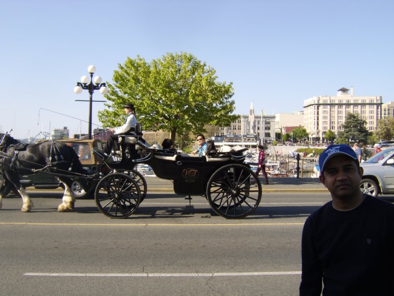 sta76533.jpg