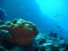 dsc05698_small.jpg