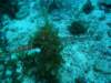 dsc05701_small.jpg
