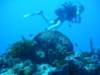 dsc05703_small.jpg