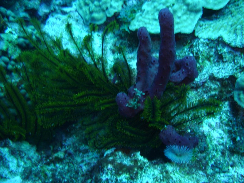 dsc05707.jpg