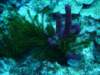 dsc05707_small.jpg