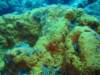 dsc05708_small.jpg