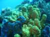 dsc05714_small.jpg