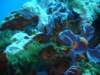 dsc05715_small.jpg
