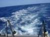 dsc05720_small.jpg