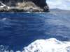 dsc05725_small.jpg