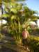 dsc05767_small.jpg
