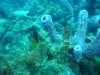 dsc05790_small.jpg