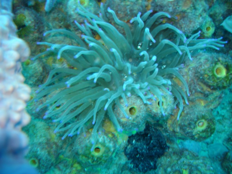 dsc05803.jpg