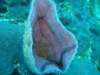 dsc05813_small.jpg