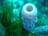 dsc05818_small.jpg