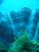 dsc05831_small.jpg