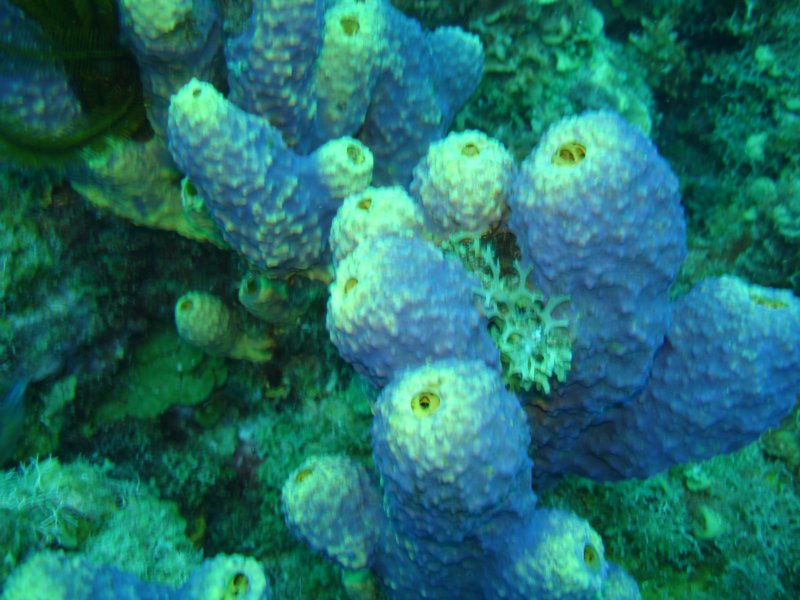 dsc05840.jpg
