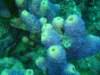 dsc05840_small.jpg