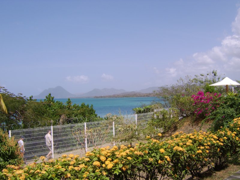 sta72165.jpg