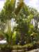 sta72172_small.jpg