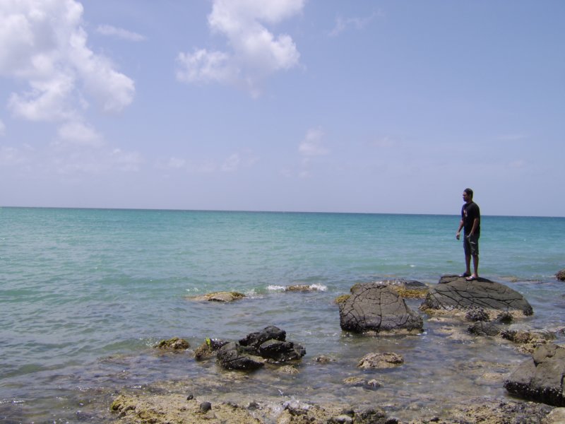 sta72197.jpg