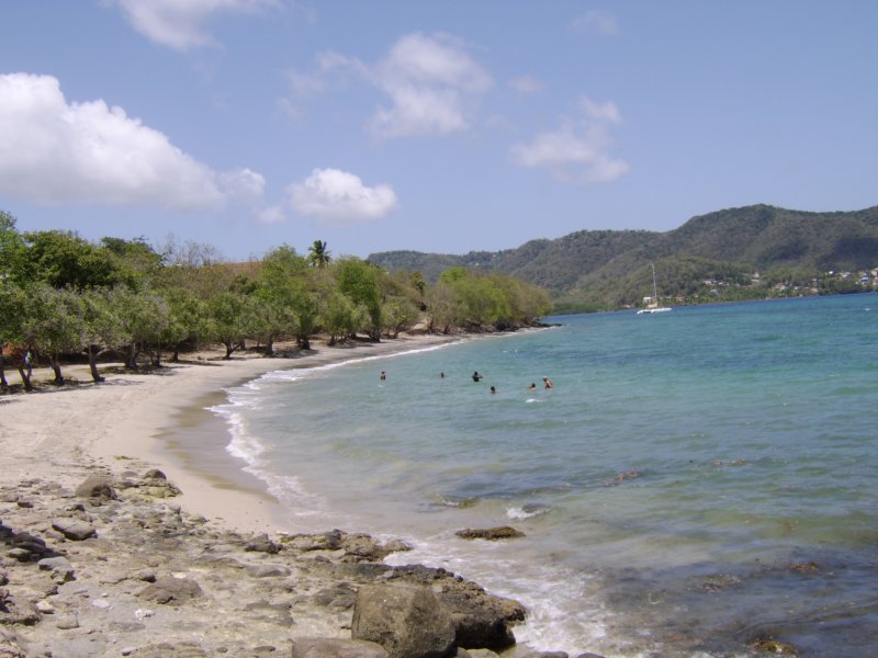 sta72355.jpg