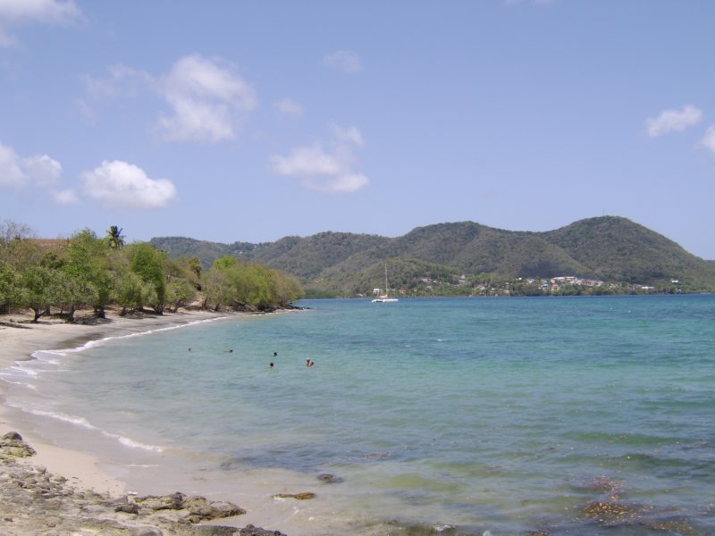 sta72356.jpg