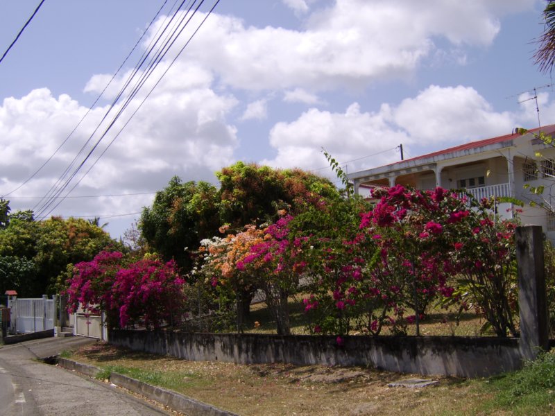 sta72364.jpg