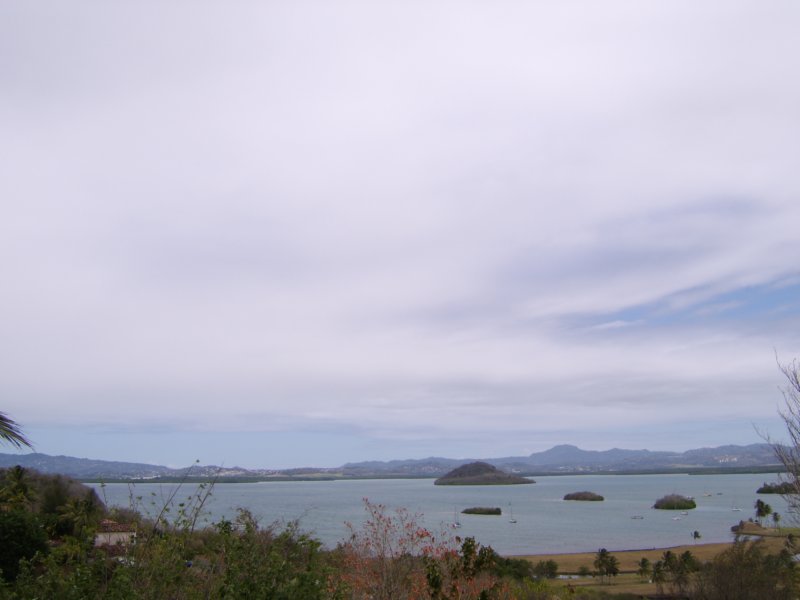 sta72429.jpg