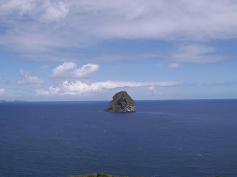 sta72461.jpg