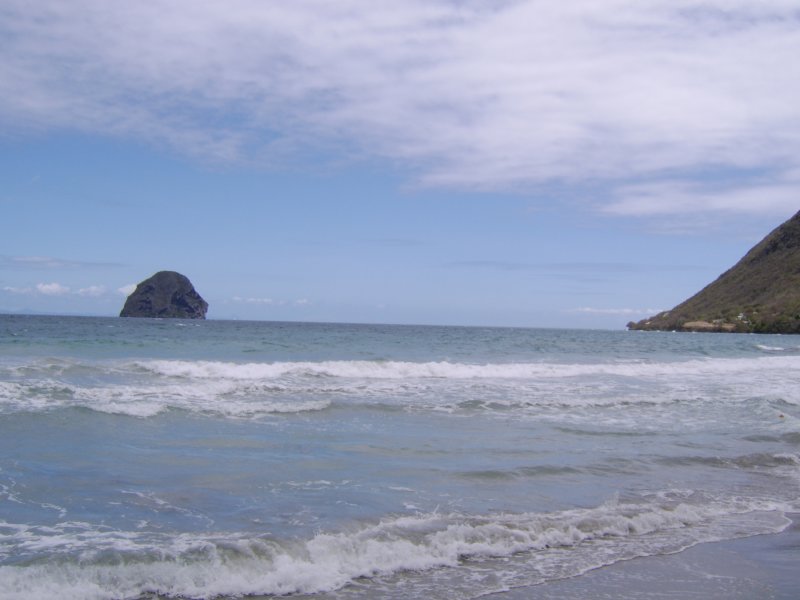 sta72464.jpg