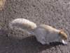 cimg0071_small.jpg