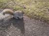 cimg0074_small.jpg