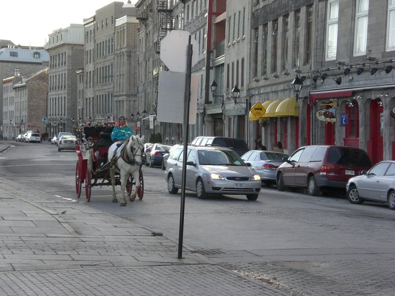 cimg0146.jpg