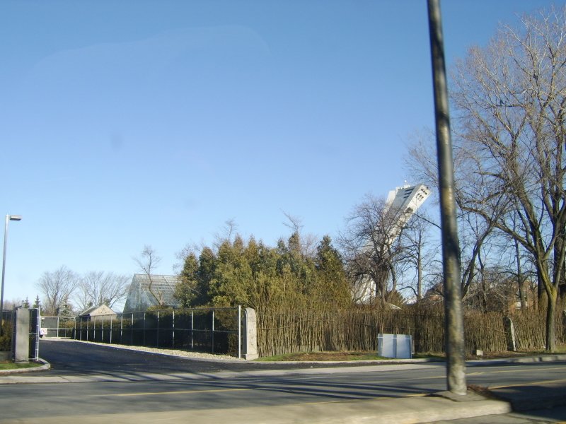 sta71962.jpg