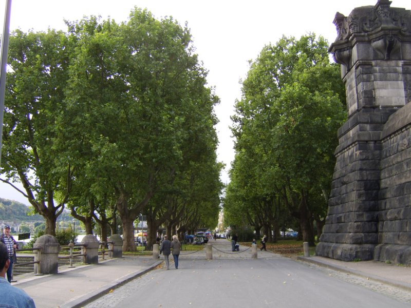 sta73680.jpg