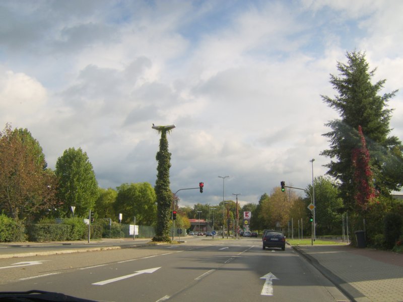 sta73714.jpg