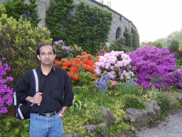 niagaratoronto123.jpg