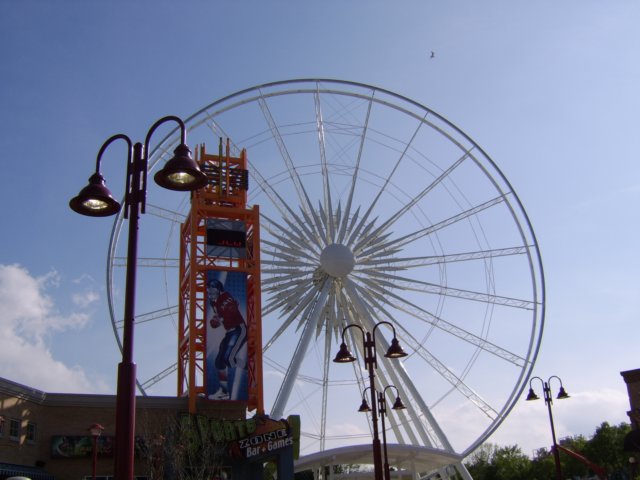 sta70583.jpg