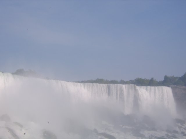 sta70604.jpg