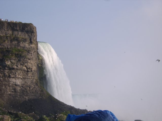 sta70619.jpg